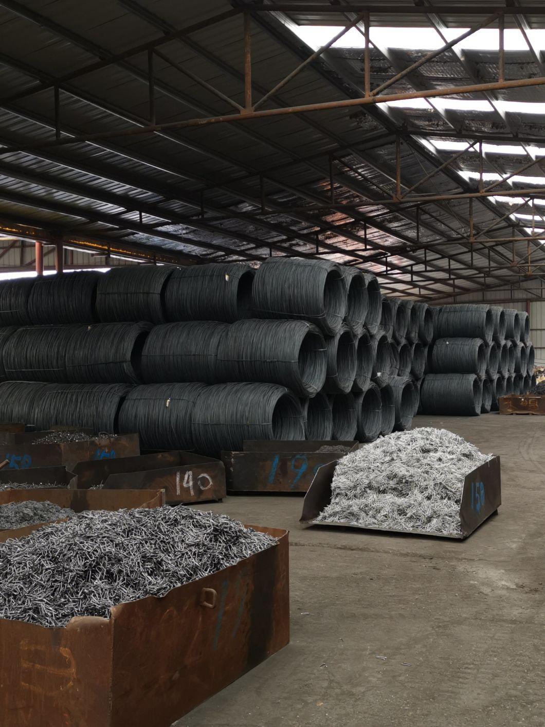 Tianjin Factory Direct Self-Tapping Screw