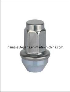 Duplex Bulge Acorn Stainless Steel Capped Nut (HN001L-SS)