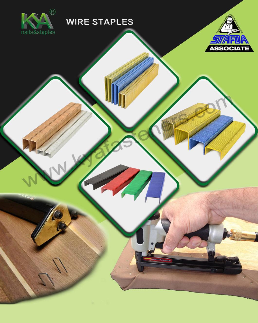 20 Gauge 1/2 Inch Wide Crown Staples for Staple Gun