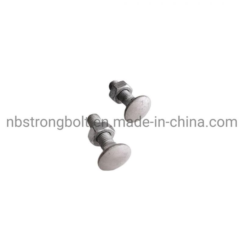 Carriage Bolt / Hex Nut with HDG