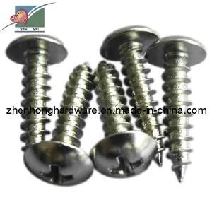 Stainless Steel Countersunk Self-Tapping Screw (ZH-TS-001)