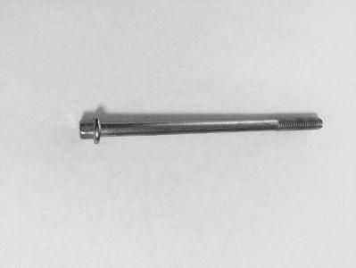 Gete Fastener Customized Stainless Steel Special Bolt and Screw