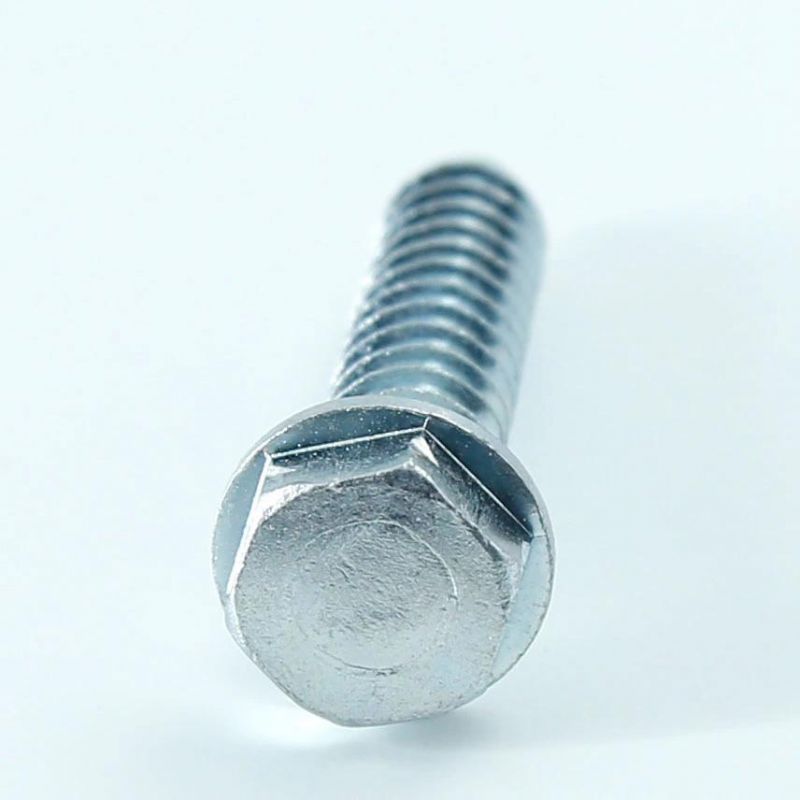 Chinese Manufacturer Customized DIN 571 All Sizes High Quality Hex Head Wood Screw