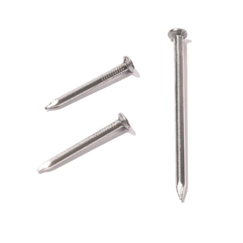 Lower Factory Price Polished Common Round Iron Wire Round Head Nails