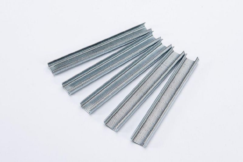 Chinese Factories Stainless Steel Fastener Pneumatic C Hog Rings Staples for Pocket Spring Mattress with Good Quality