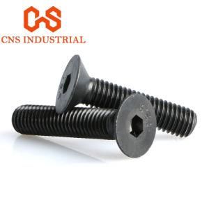 SS304 Hex Hexagon Socket Cap Screw Bolts