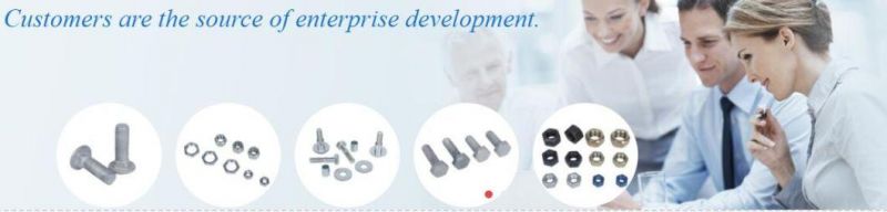 Hex Bolts, Hex Head Screw, Round Head Bolt, Customized Stainless Steel Bots, Valve Bolts, CNC Machining Bolts