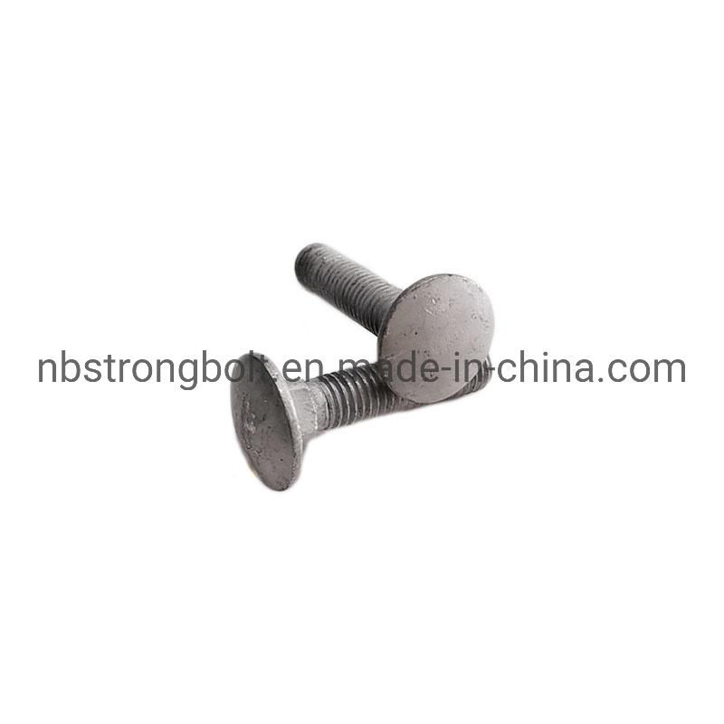 Carriage Bolt DIN603 with HDG