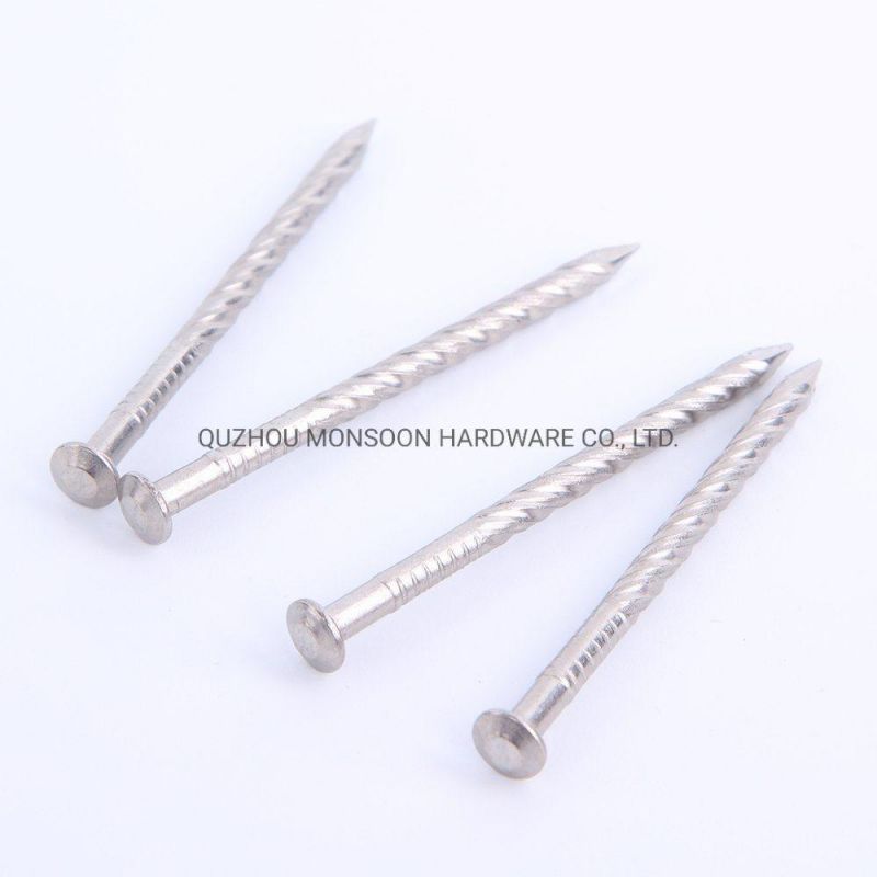 Stainless Steel Convex Head Nails