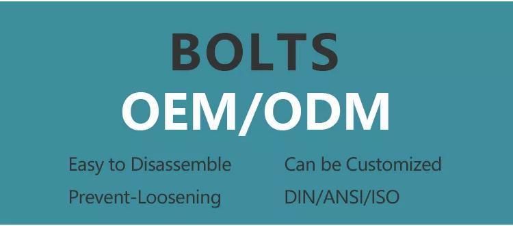 Fasteners Stainless Steel DIN 933/Hex Bolt Nut/Carriage Bolt DIN603/Flange Bolt DIN6921/ T Hammer Bolt/ Eye Bolt DIN444 / U Bolt / Allen Bolt DIN912