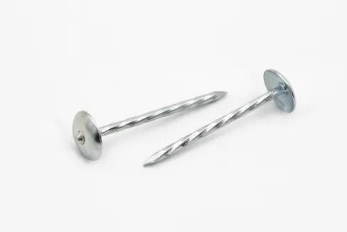 Galvanized Smooth/Twisted Shank 2.5"*Bwg9 Umbrella Head Roofing Nails for Africa Market