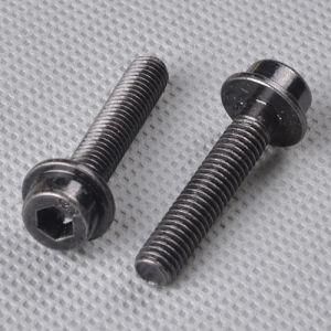 Hex Socket Flange Head Cap Screw (CZ248)