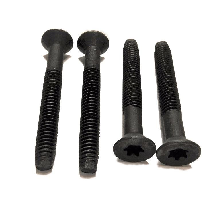 Type F Torx Head Self Tapping Machine Screw