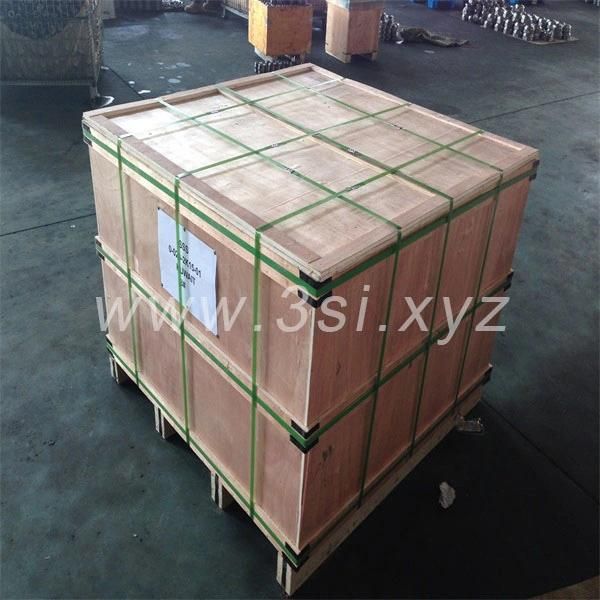 Stainless Steel ANSI Plate Flange (YZF-L166)