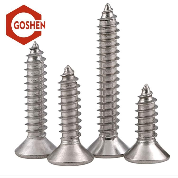 Stainless Steel 304 Self-Tapping Screws with Cross Recess Drive