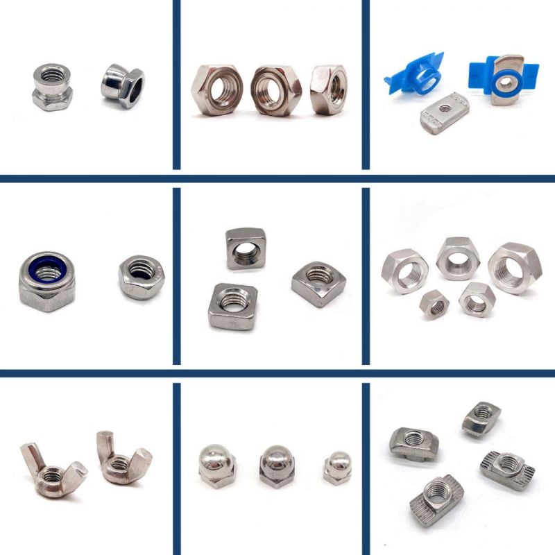 A2-70 A4-80 Security Stainless Steel 304 316 Anti Theft Twist Shear Hex Lock Breakaway Nuts