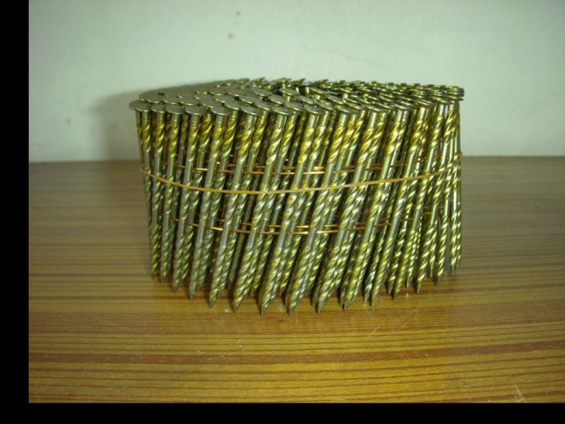 Hot Sale Coil Nail Screw Shank Paint Cheap Price