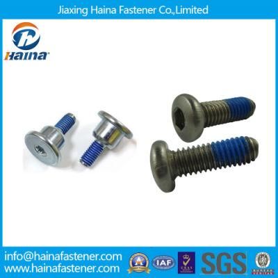 Stainless Steel Ss304 Ss316 Socked Flat Head Bolt with Nylok