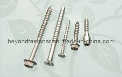 Self Tapping Screw Hex Bolts/ Special Screw/Self Drilling Screw