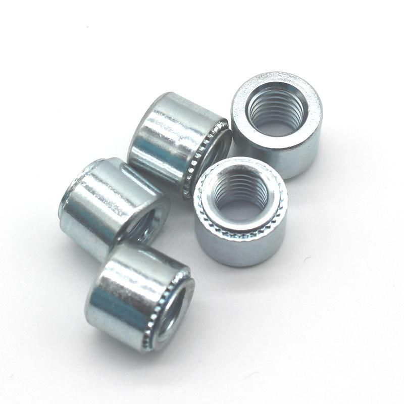 Self Locking Rivet Insert Threaded Round Nut for Auto Industry Construction Fastener