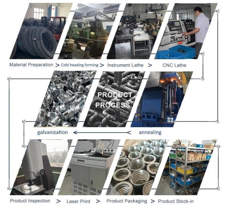 Supply High-Quality Hydraulic Forged Stainless Steel 00110 for SAE100r1at/En 853 1sn Hose Ferrules