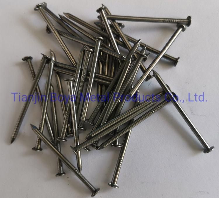 Q195 Polished Nail/Hot Dipped Galvanized Nail/Hardware Nail/Building Nail/Wire Iron Nail