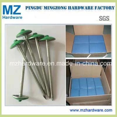 Bwg8-13 Umbrella Head Twist Shank Roofing Nail with High Quality