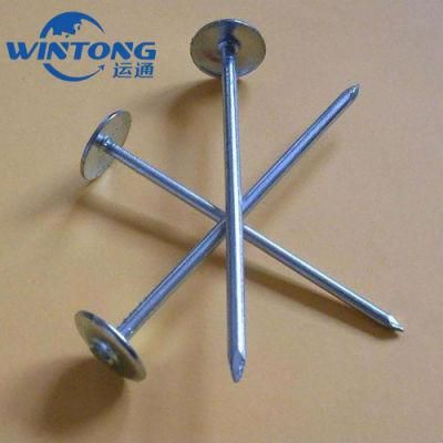 Galvanized Corrugated Nails, Corrugated Nail with Thread, Straight Pole Roofing Nail