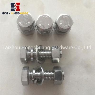 Stainless Steel 304 Hex Bolt with Nut/Hexagon Bolts/SS304 Bolt Nut/SS316 Bolt and Nut