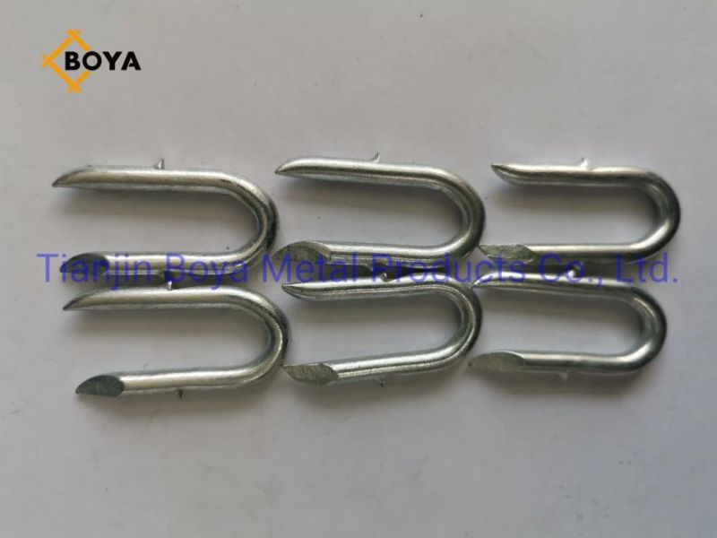 Factory Directly Supply Eg U Type Iron Nail for Fence