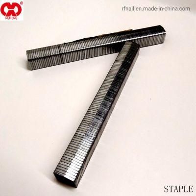 Latest Price Direct Manufacturer in Anhui Galvanized Stcr5019 Fine Wire Staple.
