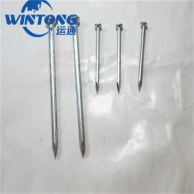 White Steel Nail/Galvanized Concrete Nail/Coated Steel Nail