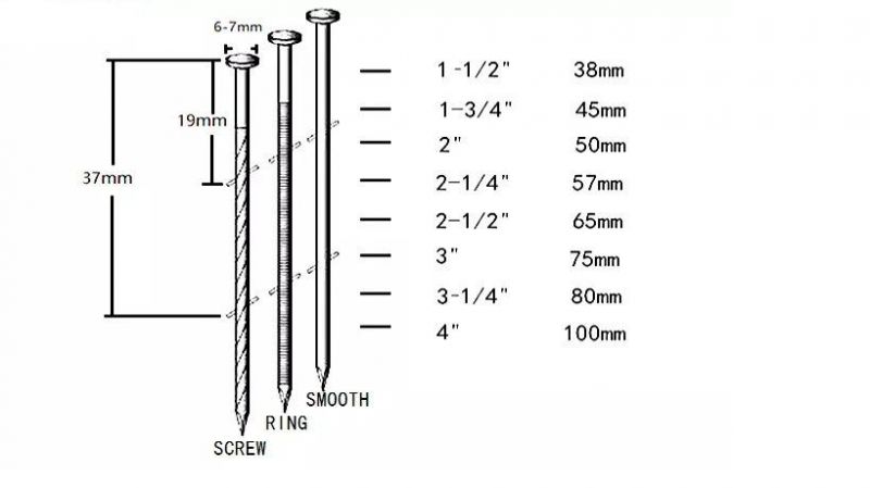 China Hot Sale Bulk Pallet Coil Nail/Painted Coil Nail (manufacture) with Ce and Sgscertificate