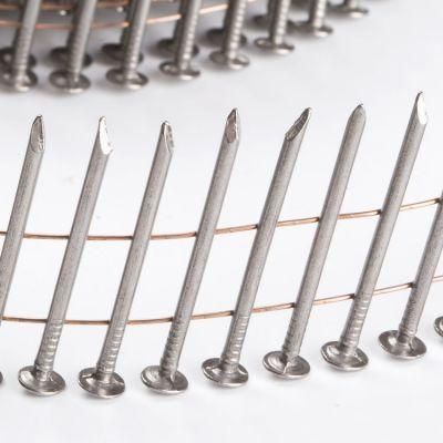 Smooth Shank Coil Nails Supplier