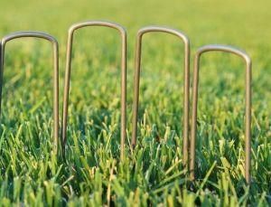 Straight Brad F Steel Ground Peg Nails for Artificial Turf Grass