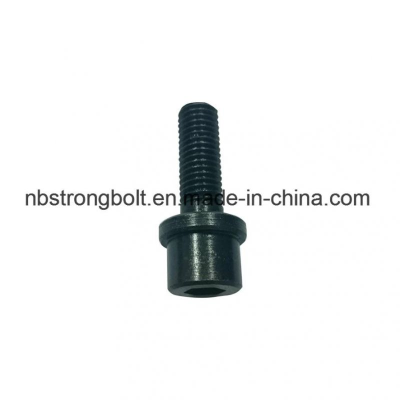 Hex Socket Screw with Black, Non-Standard Screw, Non-Standard Bolt, Non-Standard Fasteners