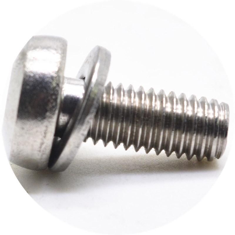 Pan Head Torx Stainless Steel Anti-Theft Screw