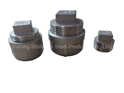Plug, Stainless Steel Plug, Square Plug, 304/316