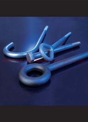 Stainless Steel SS304 316 J Hook Bolt with Nut