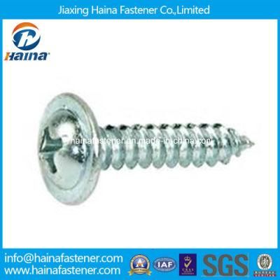 Zinc Plated Modify Truss Head Phillips Self-Tapping Screw