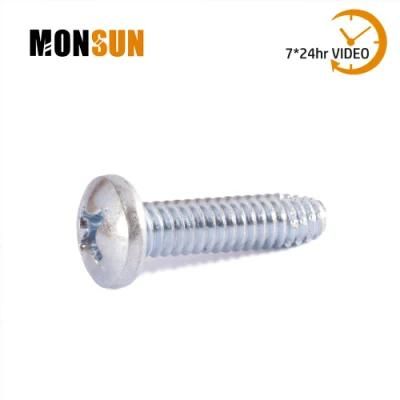 Type F Zinc Plated Phillips Drive/Sloted/Torx Pan Head Machine Screws Made in China