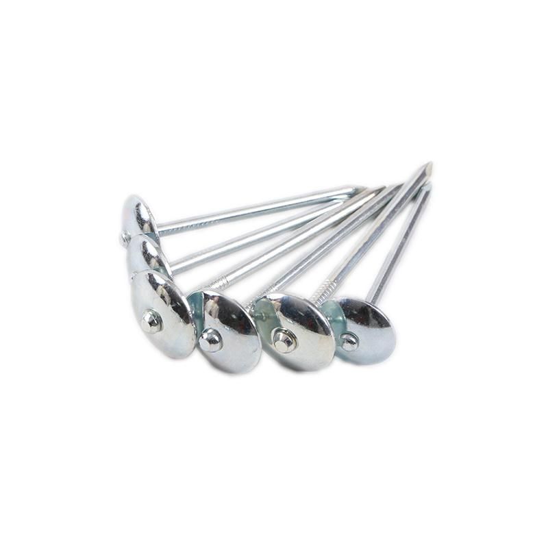 Good Quality Umbrella Roofing Nail Galvanize Umbrella Head Roofing Nails