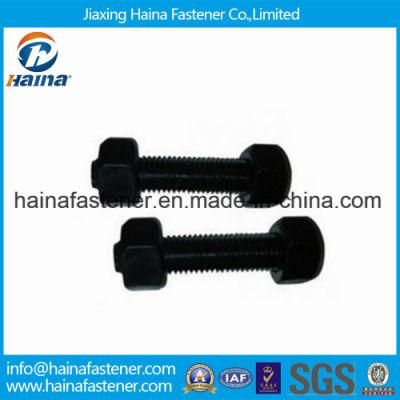 Black Grade 8.8 10.9 A193 B7 Thtead Rod with Nut
