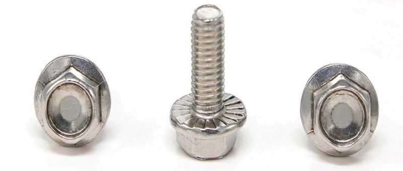 M10 M16 SS304 DIN6921 Serrated Heavy Hex Flange Bolt