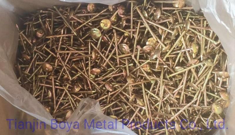 Hot Sale 8 Box/CTN/20-25kg/CTN/50kg/Gunny Bag Twisted /Smooth Shank Galvanized Umbrella Head Roofing Nail with Roof Construction