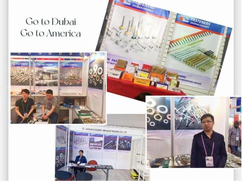 Wood Screw Zinc Wholesale Price Bolts Wood Screws Metric Galvanized DIN571 Standard Hex Lag Screws