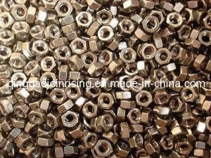 Stainless Hex Nuts