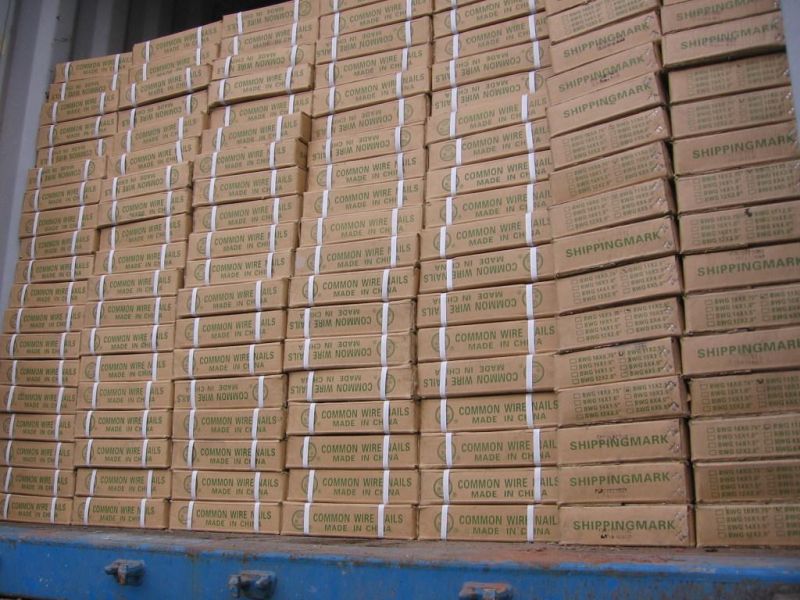 Congo Angola Zambia Market/Top Quality Drywall Screw Self Drilling Drywall Screws Manufacturer
