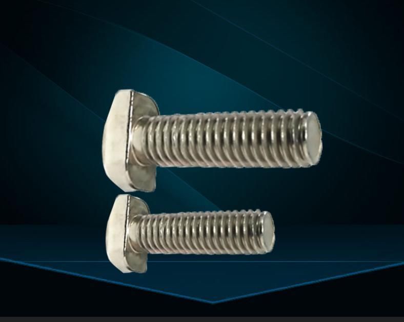 Wholesale Custom Galvanized, Stainless Steel Non-Standard Bolts