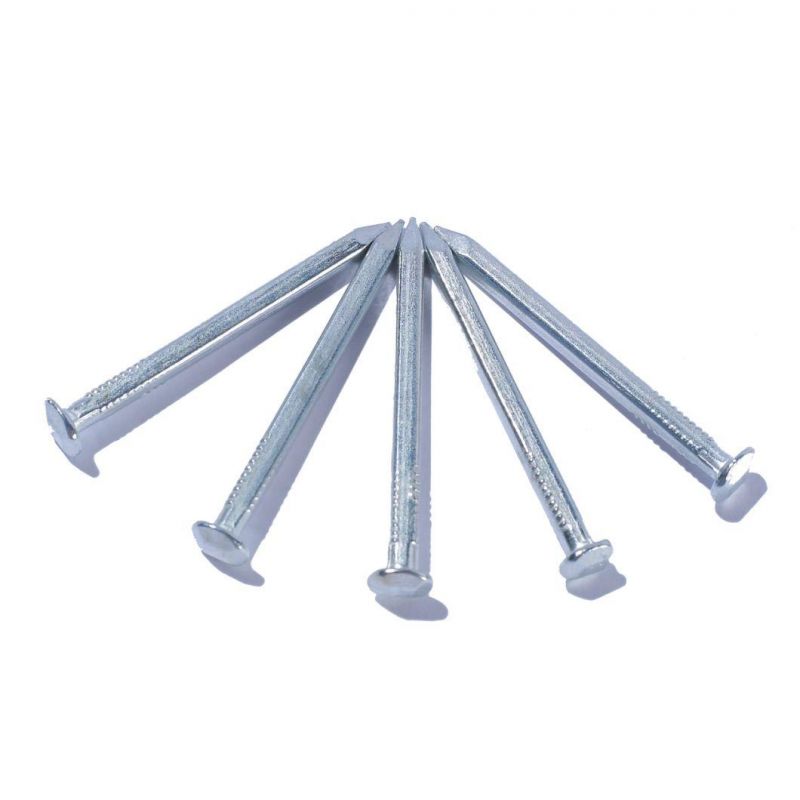 Vietnam Philippines Singapore Market/Electro Galvanized Square Boat Nails for Boat Hot Dipped Galvanized Square Boat Nails